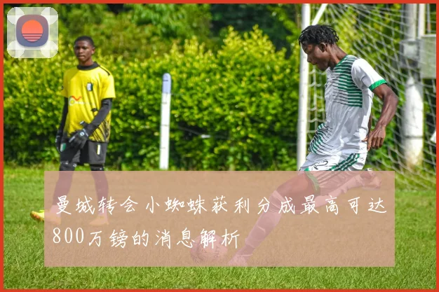 曼城转会小蜘蛛获利分成最高可达800万镑的消息解析