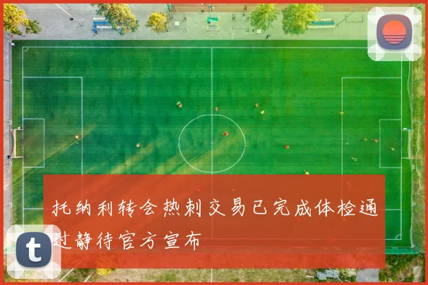 托纳利转会热刺交易已完成体检通过静待官方宣布